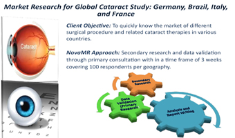 Market research
